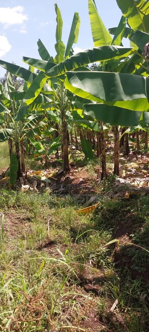 3 Acres on Sale Summary Area-Casablanca