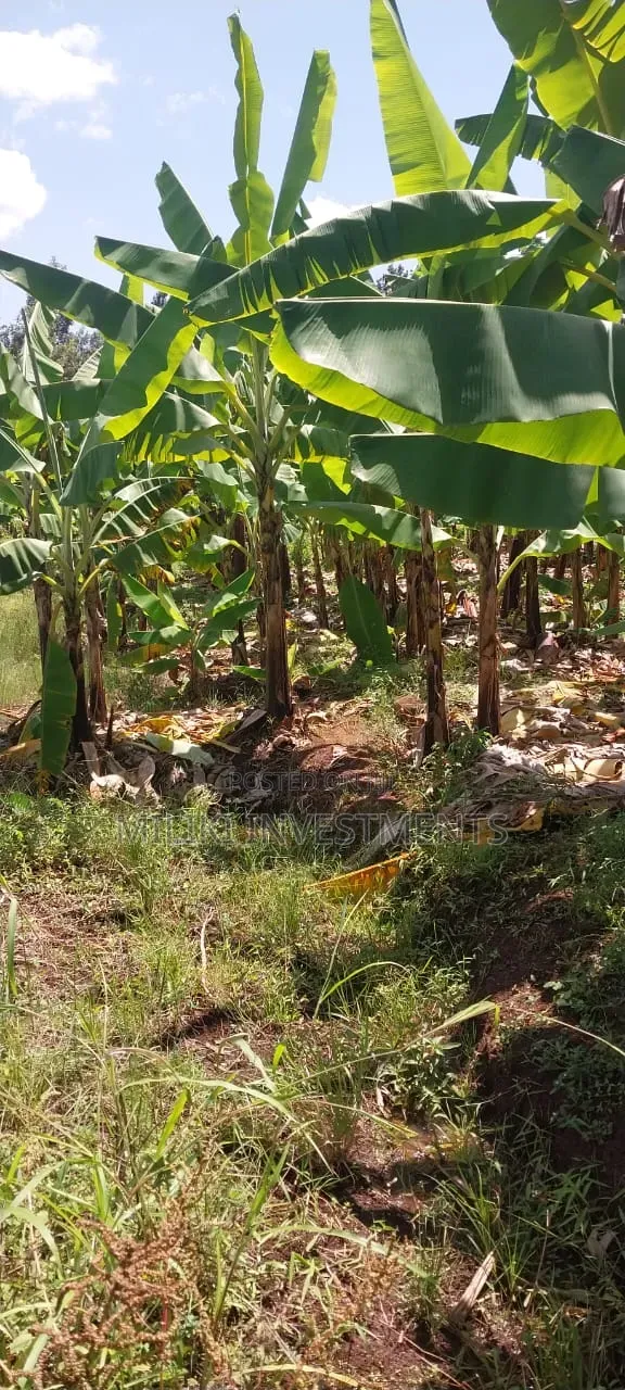 3 Acres on Sale Summary Area-Casablanca