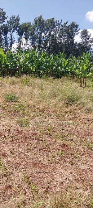 3 Acres on Sale Summary Area-Casablanca