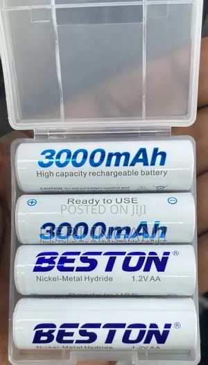 Beston 3000 Mah Battery