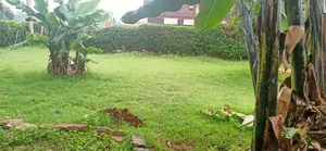 Land For Lease