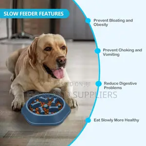 Interactive Slow Feeder Bowl