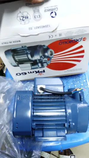 Pedrollo PKM 60 Heavy Duty Water Pump