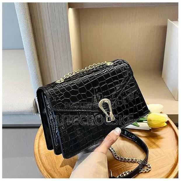 Stylish Chain Handbags  Premium Handbag