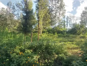 2 Acres on Sale at Murang'a-Kahuho