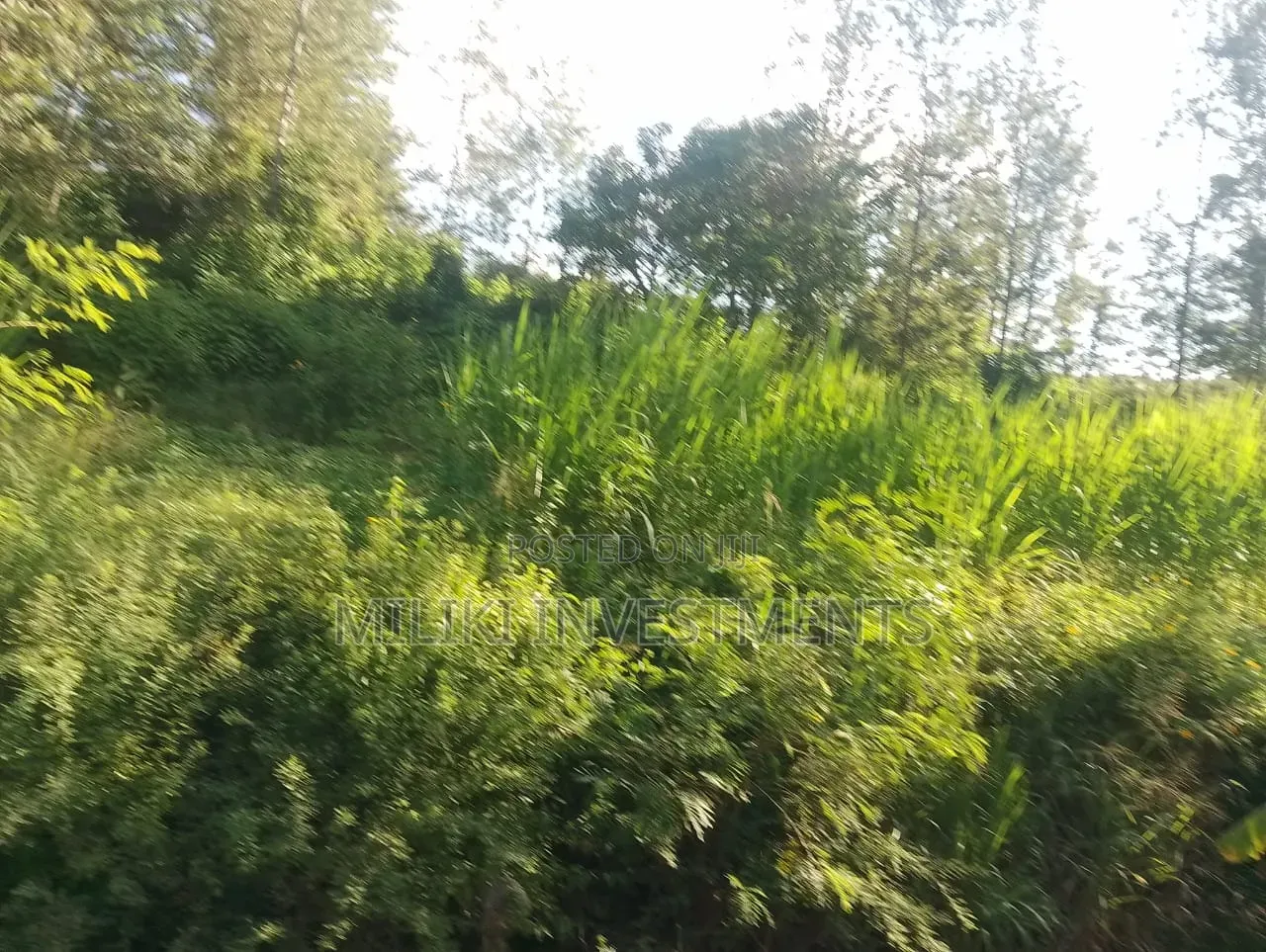2 Acres on Sale at Murang'a-Kahuho