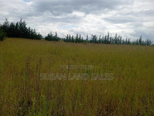 Mombasa Road Sabaki 1/4 (Court) - thumbnail 2