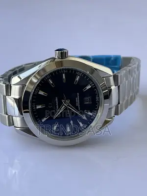 Omega Seamaster Black Dial Co Axial Master Chronometer Watch