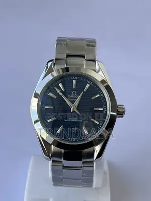 Omega Seamaster Blue Dial Stainless Steel Men’S Watch