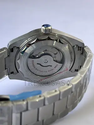Omega Seamaster Blue Dial Stainless Steel Men’S Watch