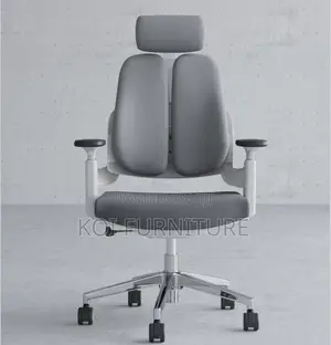 Office Chair : Dual Orthopedic Seat – Ergonomic Comfortable