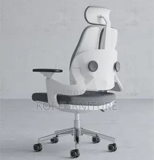Office Chair : Dual Orthopedic Seat – Ergonomic Comfortable