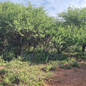 40 Acres Ilkilorit at Per Acre