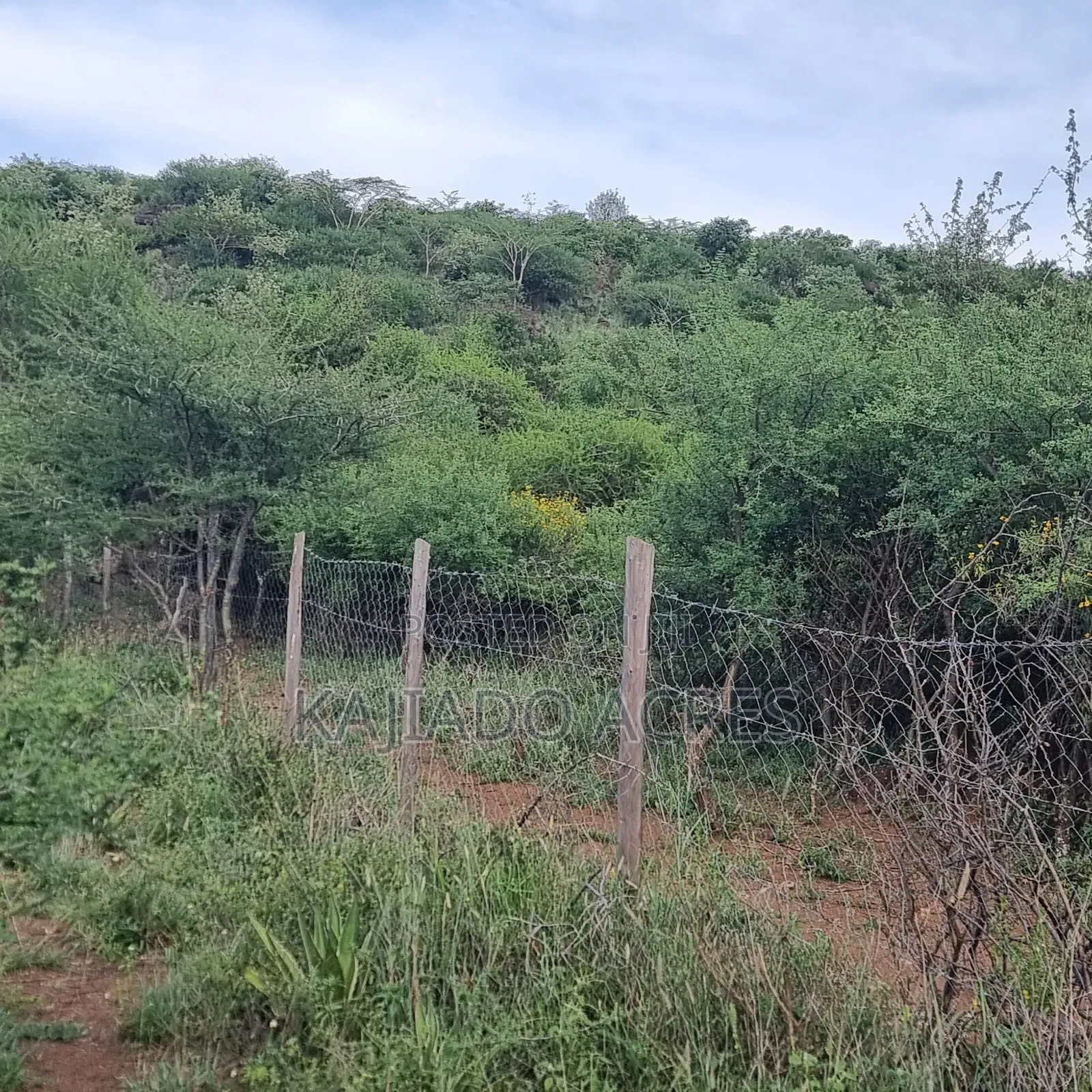 40 Acres Ilkilorit at Per Acre
