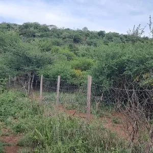40 Acres Ilkilorit at Per Acre