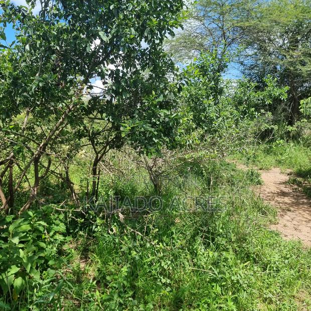 30 Acres Mashuru - thumbnail 2