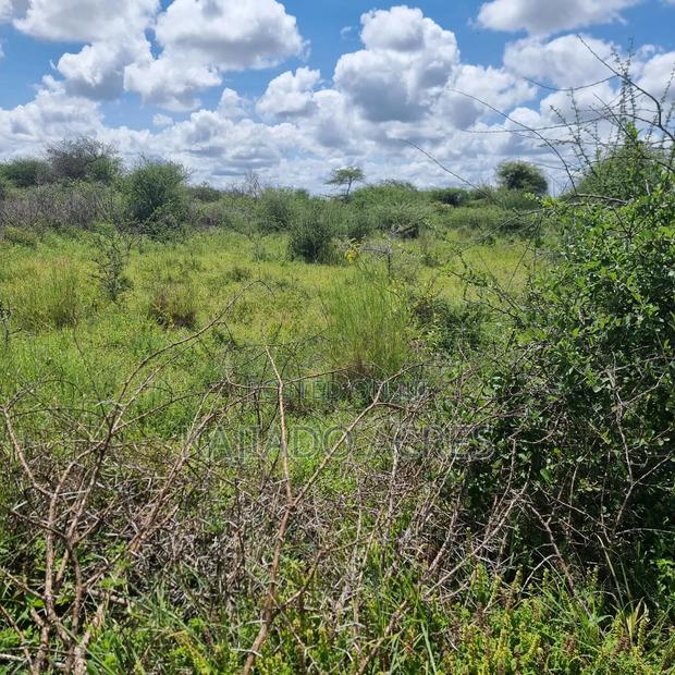 30 Acres Mashuru - thumbnail 3
