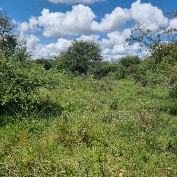 30 Acres Mashuru - thumbnail 4