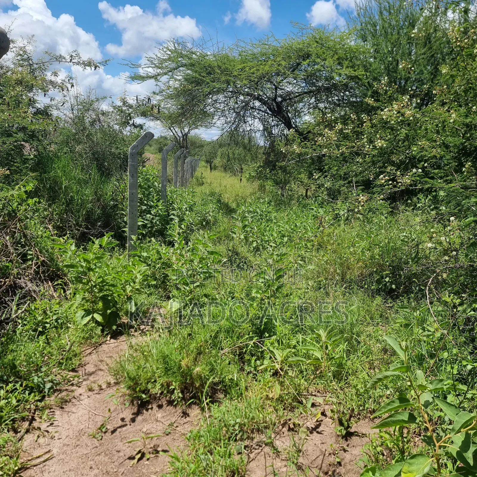 30 Acres Mashuru