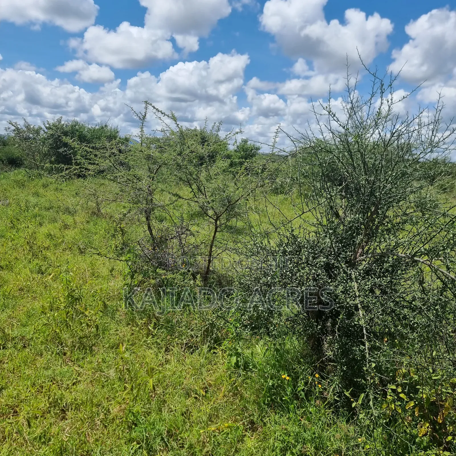 30 Acres Mashuru