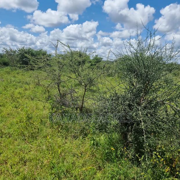 30 Acres Mashuru - thumbnail 7