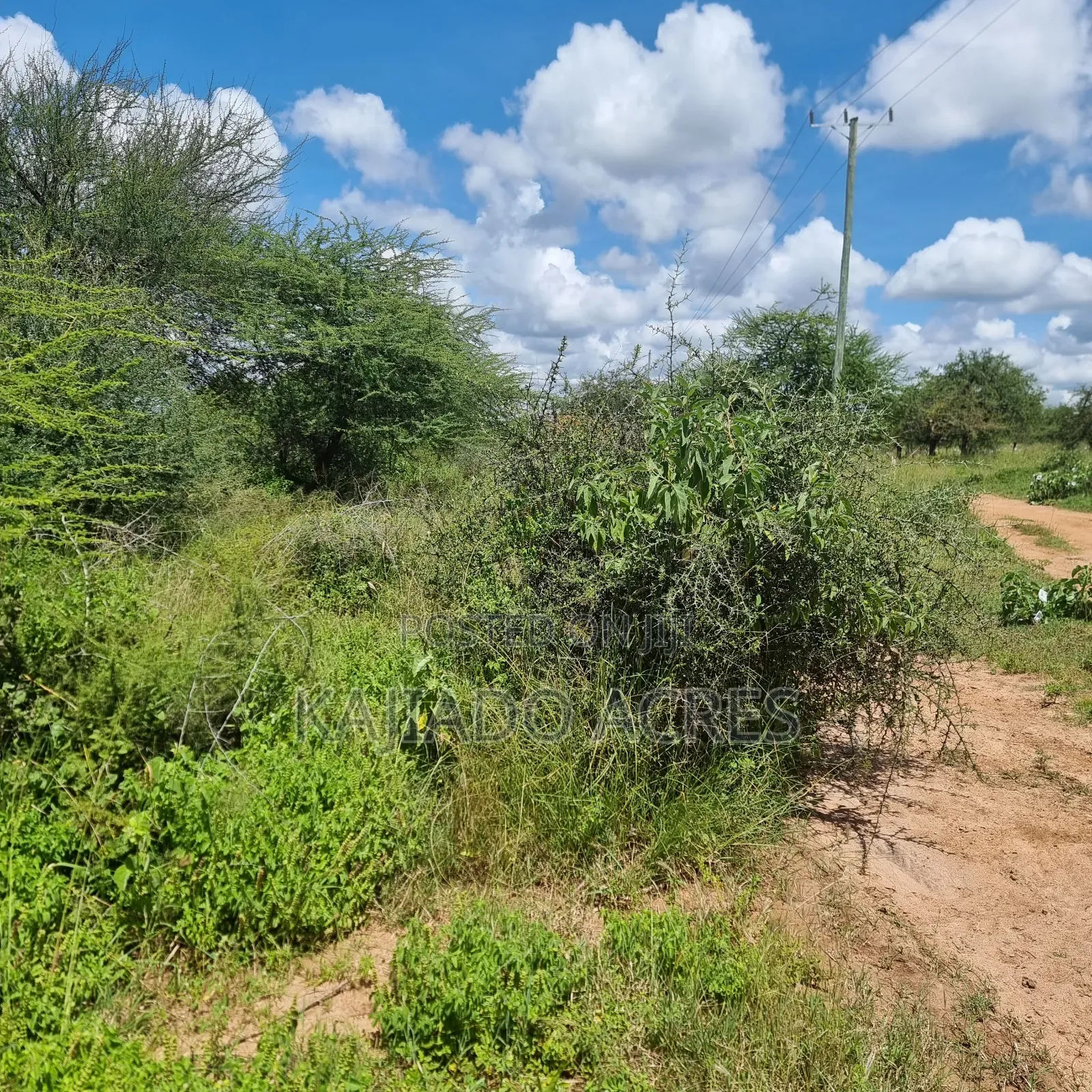 30 Acres Mashuru