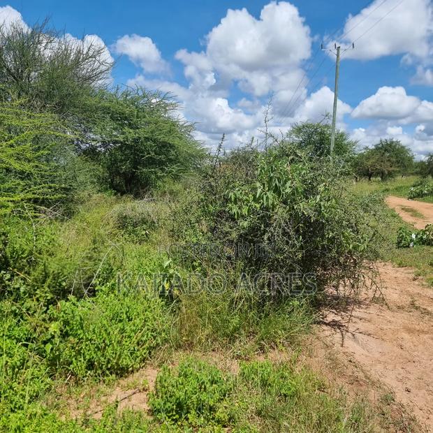 30 Acres Mashuru - thumbnail 8