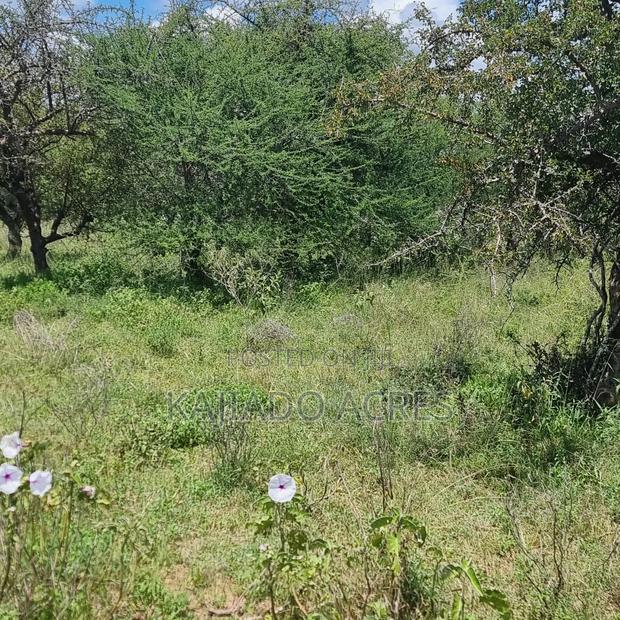 30 Acres Mashuru - thumbnail 9