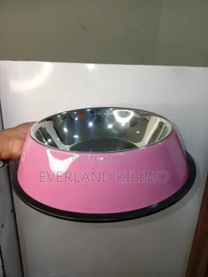 Feeding Pink Stainless Bowl - Big