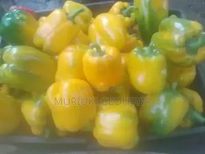 Red, Yellow Capsicums