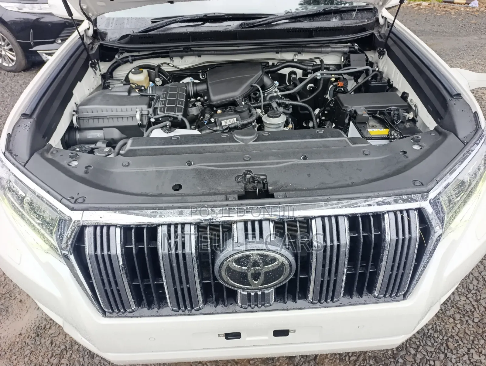 Toyota Land Cruiser Prado 2020 White
