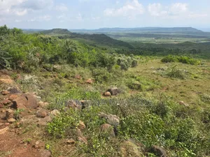 6.5 Acres Nguriubi Thigio, Limuru at 2.5m