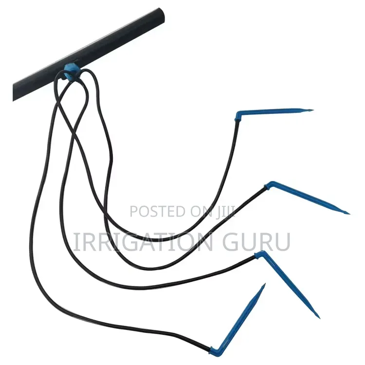 Ember Arrow