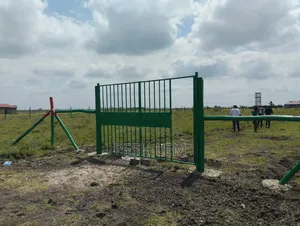 Plots for Sale in Mwalimu Farm