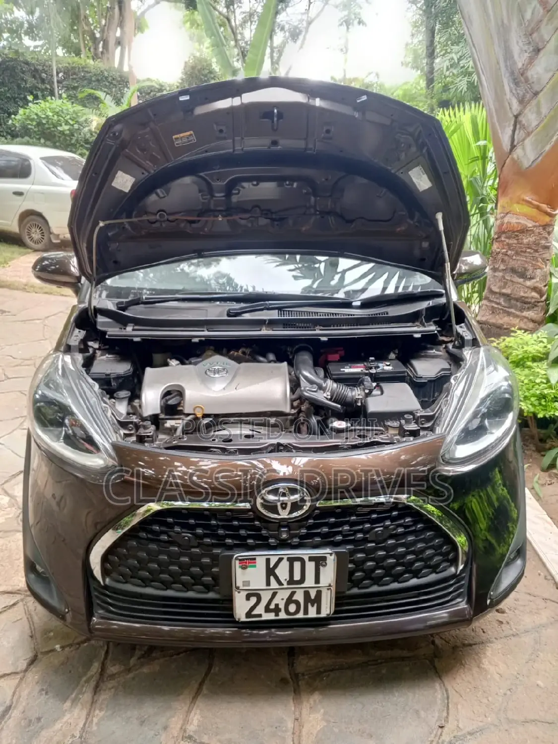 Toyota Sienta 2019 Brown