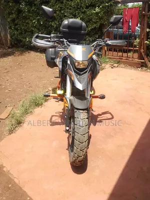 Tekken Simba 250 2024 Gray