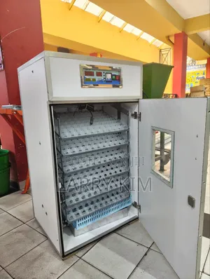 550 Eggs Incubator
