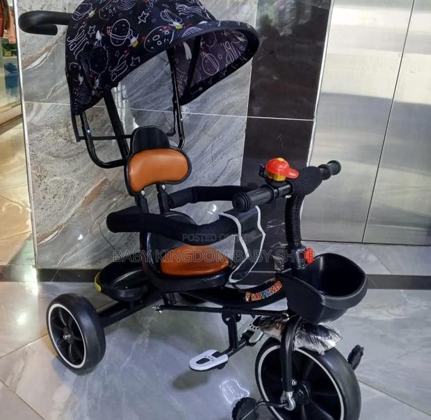 Tricycle With Canopy