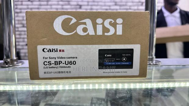 Caisi Bp -U60 Battery