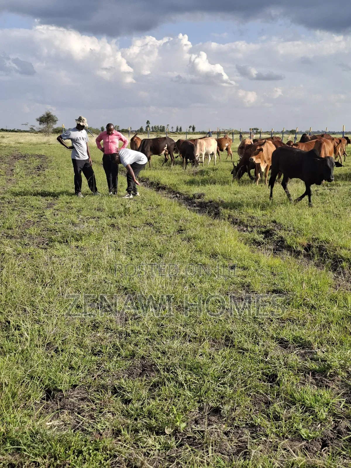 Fast Growing Town in Thika Jr