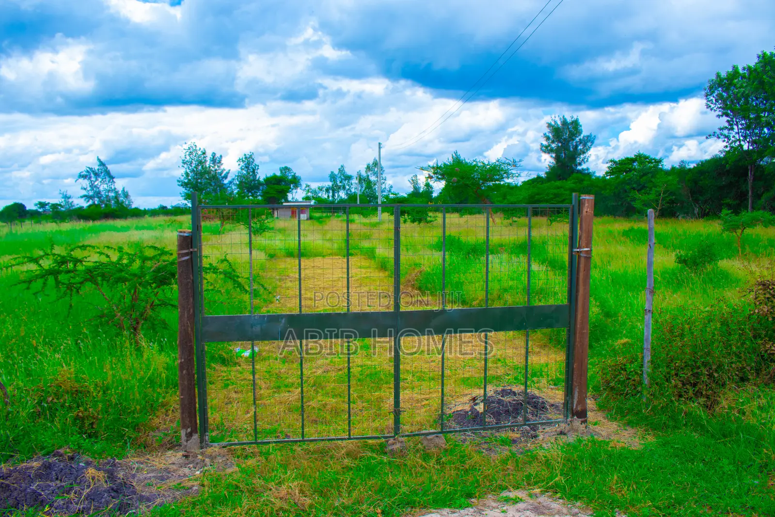 Hot Deal — Tarmac Front Plots in Juja Farm
