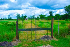 Hot Deal — Tarmac Front Plots in Juja Farm