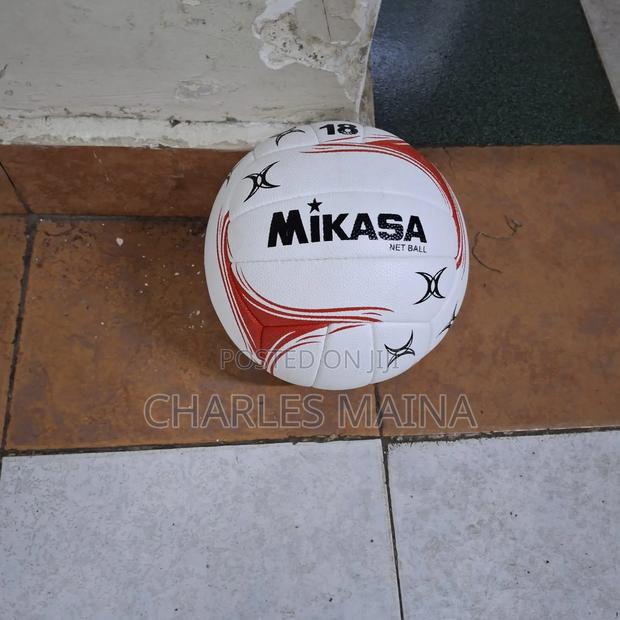 Mikasa Net Ball - main view