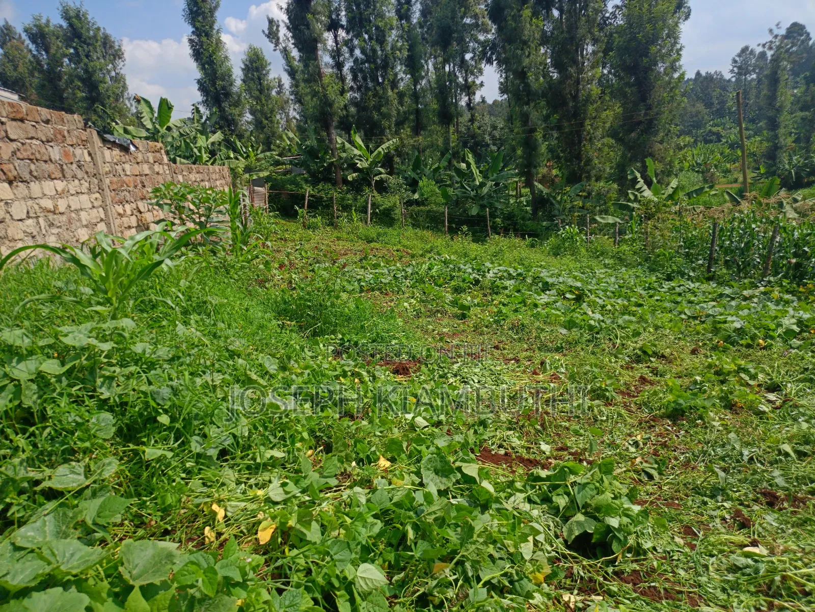 50*100 Plot in Ikinu,Kiambu