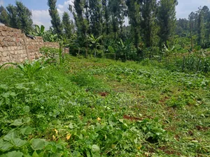 50*100 Plot in Ikinu,Kiambu