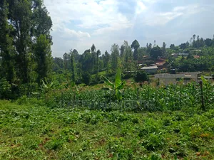 50*100 Plot in Ikinu,Kiambu