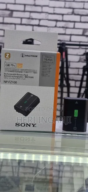Sony Np -Fz100 Battery