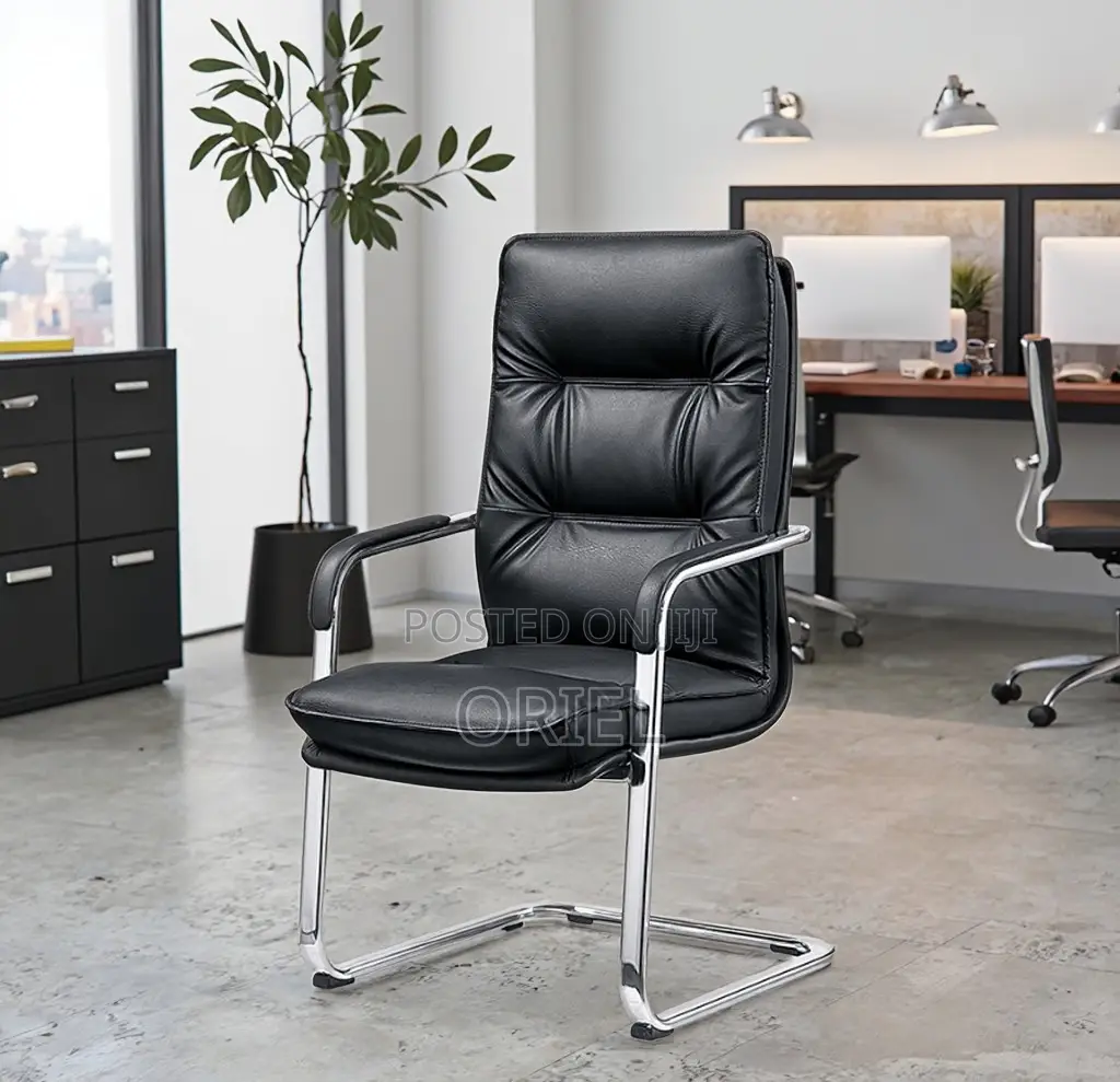 Office Chair : Executive Cantilever Visitor Chair