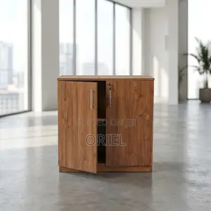 Organizer Cabinet : 2-Door Office Filing Cabinet Credenza
