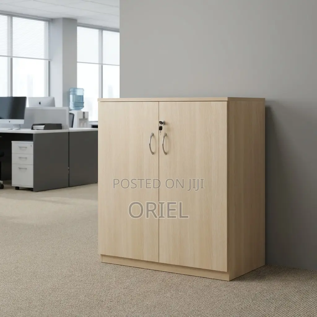 Organizer Cabinet : 2-Door Office Filing Cabinet Credenza